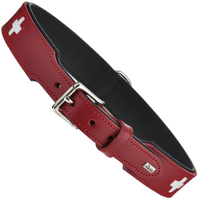 Hunter    Swiss  / (,  2)