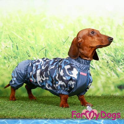 ForMyDogs     ,    (,  2)