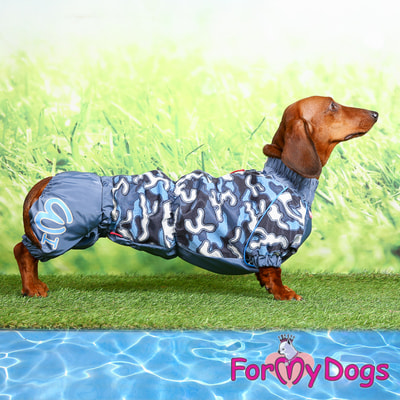 ForMyDogs     ,    (,  3)