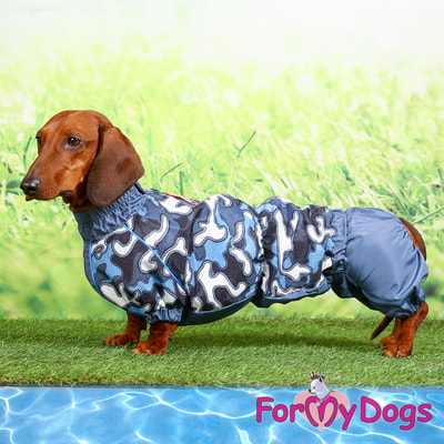 ForMyDogs     ,    (,  4)