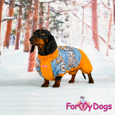 ForMyDogs    ,    (,  5)