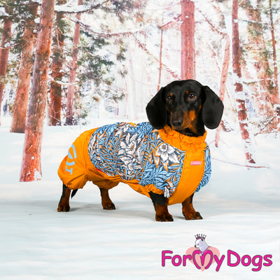 ForMyDogs    ,    (,  6)