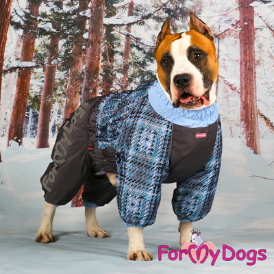 ForMyDogs      /   (,  6)