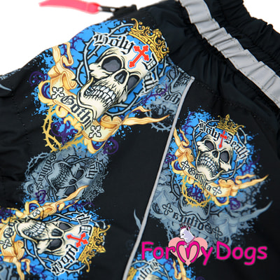 ForMyDogs         (,  1)