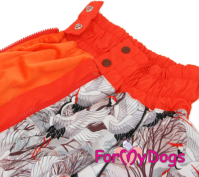 ForMyDogs         (,  4)