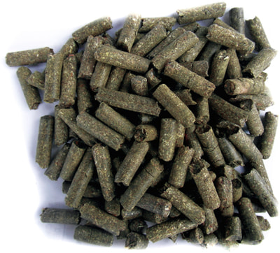 FIORY     Micropills Dwarf Rabbits (,  1)