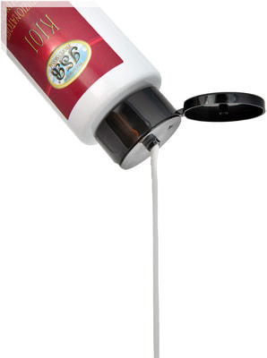 Iv San Bernard Technique - 101       ,     (,  4)
