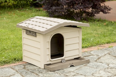 BAMA PET    Bungalow ,  (,  8)