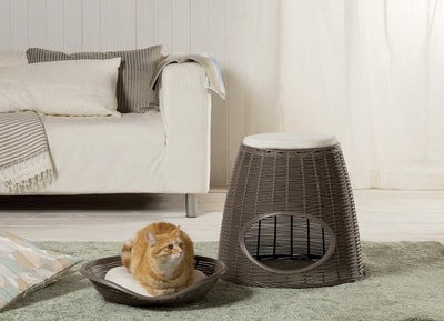 BAMA PET    Pasha 526046/55h ,   (,  1)