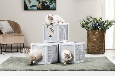 BAMA PET    Qublo 35x35x35h  (,  1)