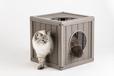 BAMA PET    Qublo 35x35x35h  (,  3)