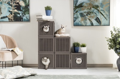 BAMA PET    Qublo 35x35x35h  (,  9)