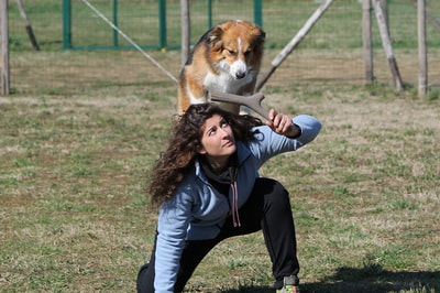 BAMA PET     Tutto Mio ,    (,  18)