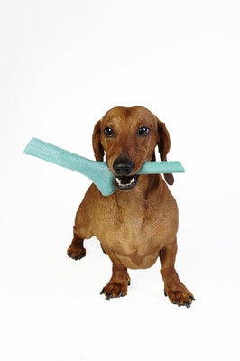 BAMA PET Игрушка для собак палочка Tutto Mio резина, цвета в ассортименте (фото, вид 26)
