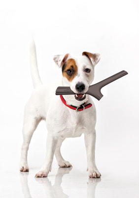 BAMA PET Игрушка для собак палочка Tutto Mio резина, цвета в ассортименте (фото, вид 27)