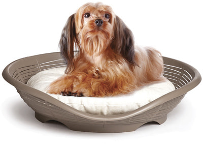 BAMA PET    Pasha 484611h  (,  8)