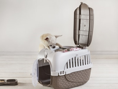 BAMA PET  Kennel Tour Maxi 593837h   12  (,  3)