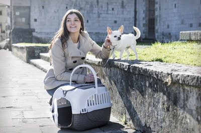 BAMA PET  Kennel Tour Maxi 593837h   12  (,  5)