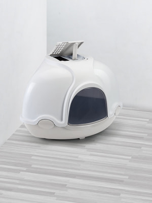 IMAC -    Ginger 525244,5h  (,  1)