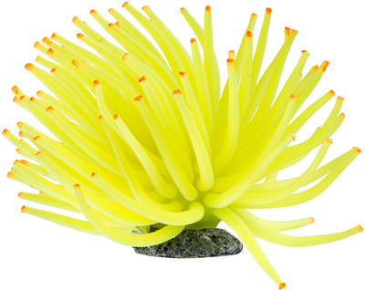 GloFish  -   GLO- (,  1)
