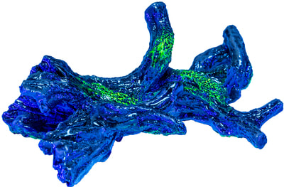 GloFish  -   GLO- (,  1)