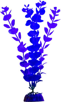 GloFish  L  GLO-,  (,  1)