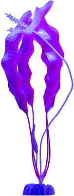 GloFish  XL  GLO-,  (,  1)