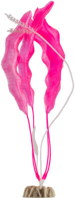 GloFish  XL  GLO-,  (,  2)