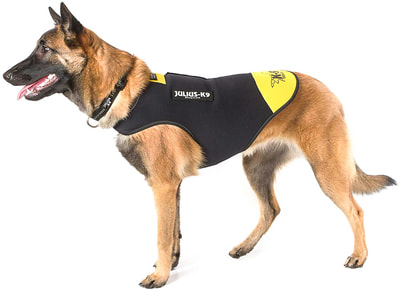 JULIUS-K9    Neoprene IDC, - (,  2)