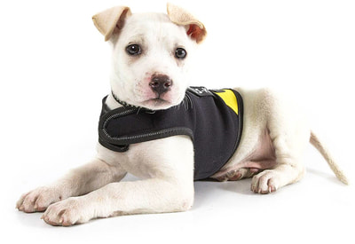JULIUS-K9    Neoprene IDC, - (,  3)