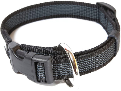 JULIUS-K9    Color & Gray, - (,  1)