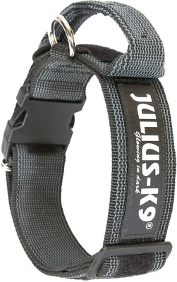 JULIUS-K9    Color & Gray,   , - (,  1)