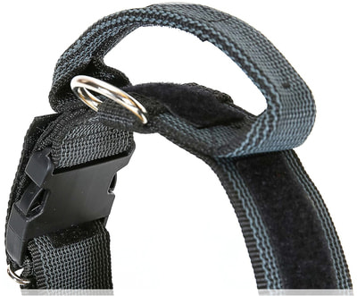 JULIUS-K9    Color & Gray,   , - (,  2)