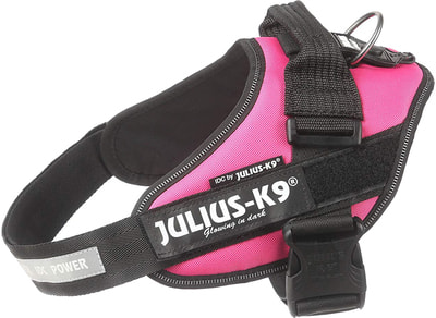 JULIUS-K9    IDC-Powerharness, - (,  2)