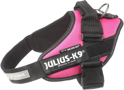 JULIUS-K9 Шлейка для собак IDC®-Powerharness, темно-розовый (фото, вид 2)
