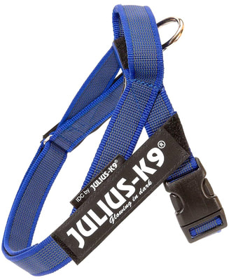 JULIUS-K9 Шлейка для собак Ремни Color & Gray IDC®, синий (фото, вид 2)