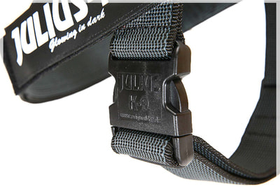 JULIUS-K9     Color & Gray IDC,  (,  2)