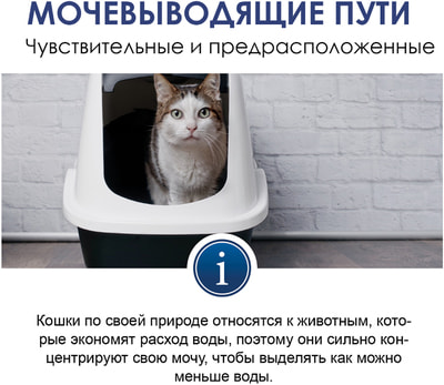 GimCat Expert line Urinary Paste -          (,  3)