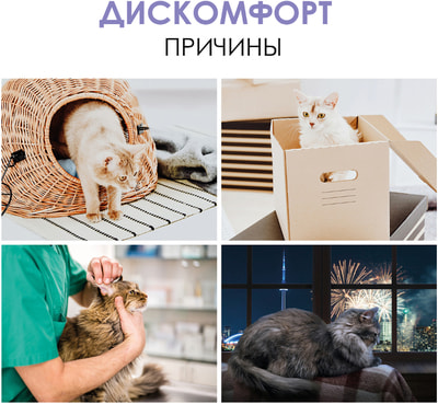 GimCat Expert line Antistress paste -       (,  4)