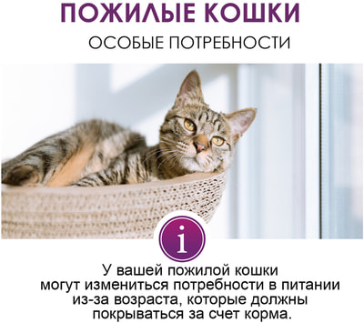 GimCat Expert line Senior paste -      (,  1)