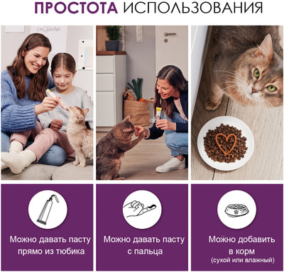 GimCat Expert line Senior paste -      (,  5)