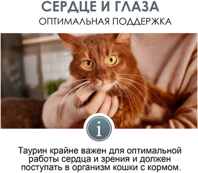 GimCat Expert line Taurin paste -       (,  3)
