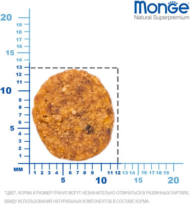   Monge Cat Adult      (,  1)