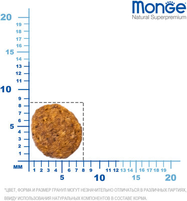   Monge Kitten        (,  1)