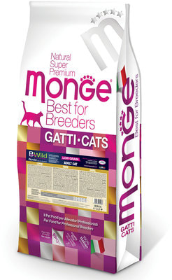   Monge Bwild Cat Hare        (,  2)