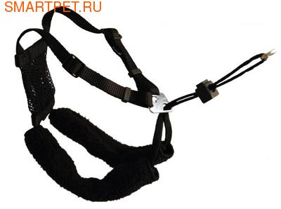 Halti COA Non-Pull Harness - ,    (,  2)