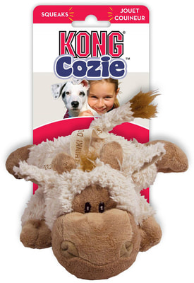 Kong    " " (,  1)