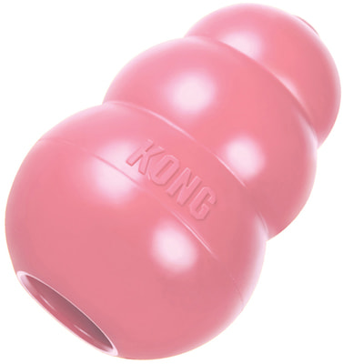 Kong Puppy     (,  1)