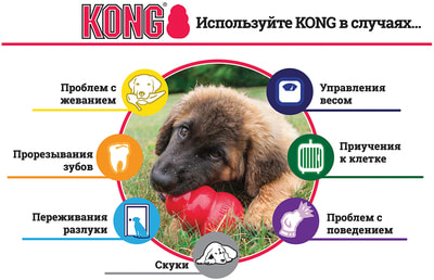 Kong Puppy     (,  2)