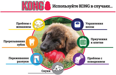 Kong Puppy игрушка для щенков классик (фото, вид 2)
